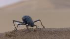 Rok v africk� divo�in� (1)