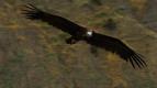 Putov�n� pod�l mo�� (1)