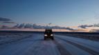 Patagonsk� pumy (1)