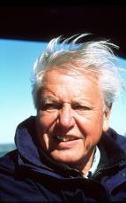David Attenborough: �ivot savc� (2)