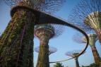 Z�zra�n� planeta II (6)