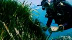 Putov�n� pod�l mo�� (1)