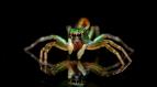 Odhalen� tajemstv� fluorescence (2)