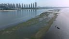 Pr�livy: Mezi mo�em a zem� (4)