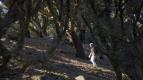 Pr�livy: Mezi mo�em a zem� (2)