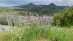 Nezkrotn� Portugalsko (4)