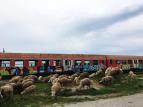 Po kolej�ch d�vn�ch �eleznic (3)