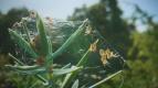 O s�t�ch a k��dlech (1)