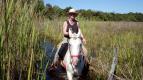 Lydia a obi: Divok Pantanal