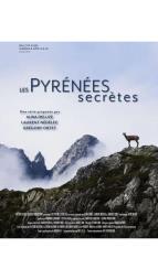 Odhalen Pyreneje (2)