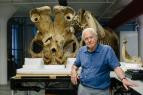 David Attenborough: Slon jmnem Jumbo