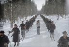 Vlky za polrnm kruhem (5)