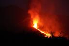 La Palma: Lva a ivot