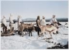 Vlky za polrnm kruhem (4)