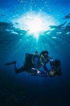 Divy korlovho trojhelnku (8)