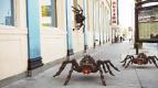 Turbotarantule: Lva poraenm