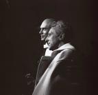 Yul Brynner: Ve�kolep�
