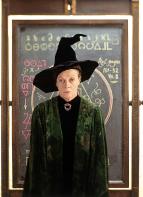 Harry Potter a Kame� mudrcov