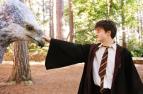 Harry Potter a v�ze� z Azkabanu