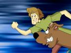 Scooby-Doo a pir�ti