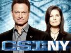CSI: New York-i helysznelk VIII (16)