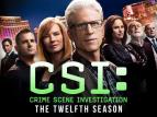 CSI: A helysznelk XII (22)