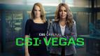 CSI: Las Vegas-i helysznelk II (10)