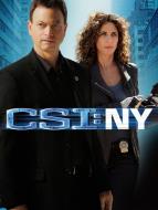 CSI: New York-i helysz�nel�k VI (4)