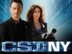 CSI: New York-i helysz�nel�k VI (5)