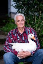 A mi kis falunk V (2)