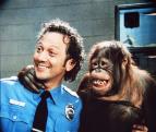 Zv��e
