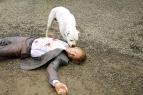 Co se vlastn� stalo