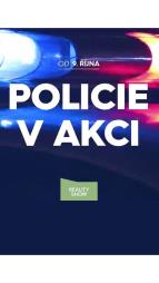 Policie v akci