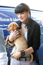 Nmon vyetovac sluba IX (4)