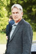 N�mo�n� vy�et�ovac� slu�ba IX (24)