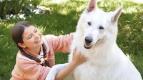 Pes, kter� cestoval vlakem