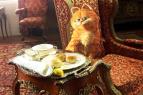 Garfield 2