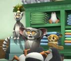 Tuci z Madagaskaru II (27)