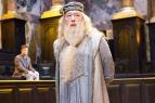 Harry Potter a Fnixv d