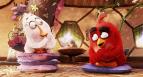 Angry Birds ve filmu