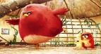 Angry Birds ve filmu