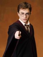 Harry Potter a F�nix�v ��d