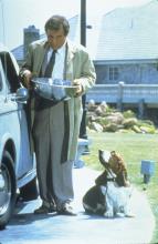 Columbo (62)