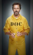 Dr. House VIII (2)