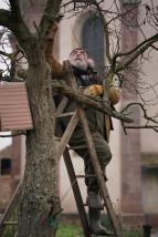 Komisa�ka Marleau (3)