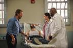 Dr. House VIII (1)