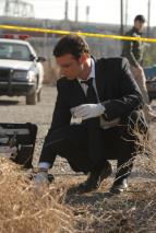 Krimin�lka Las Vegas VII (13)