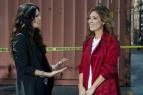 Rizzoli & Isles: Vrady na pitevn (6)