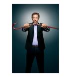 Dr. House VIII (1)