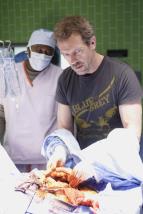 Dr. House III (13)